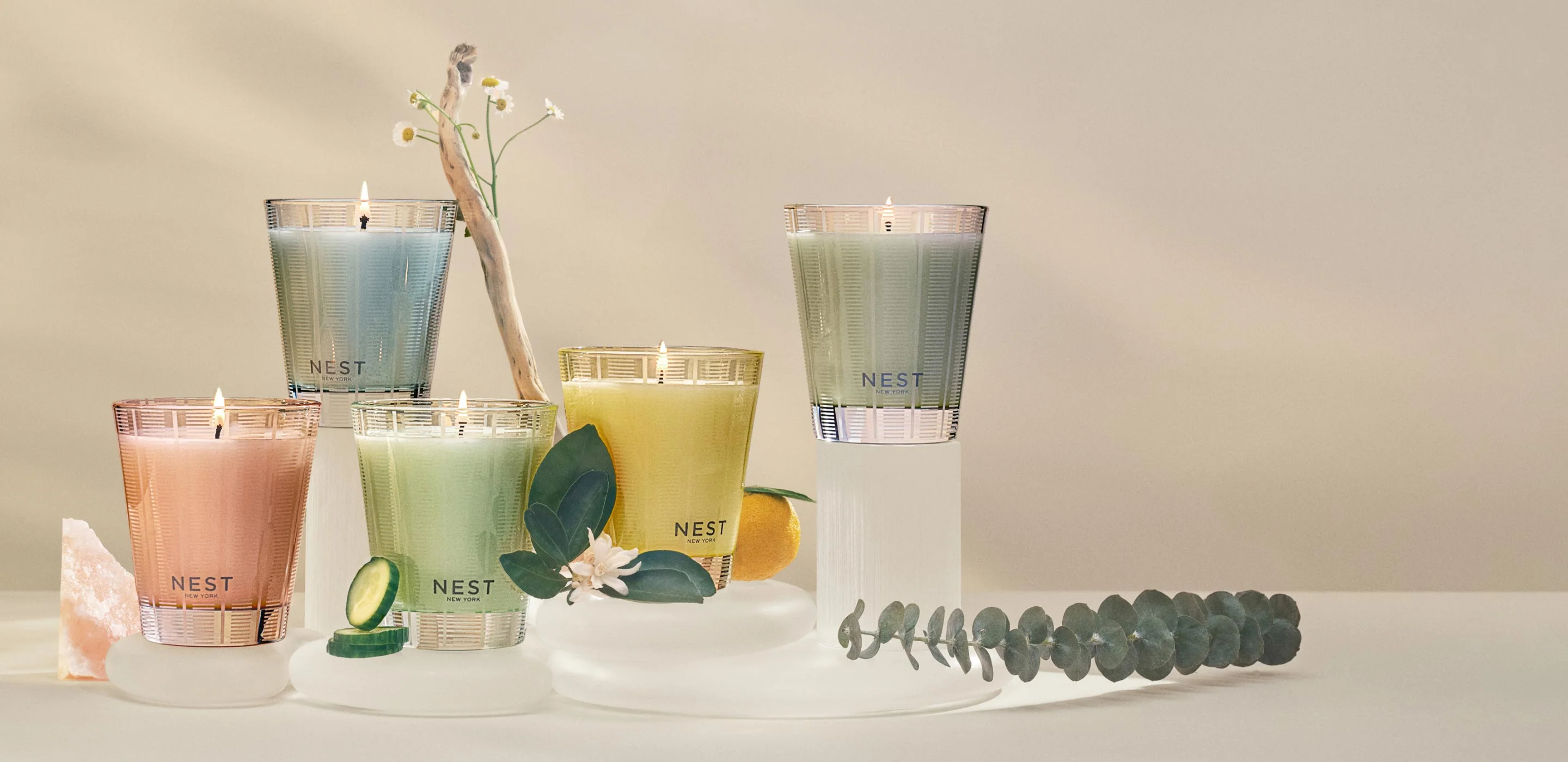 Elevate Your Mood with NEST